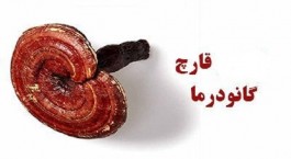 گانودرما و ادعاهایی برای کلاهبرداری