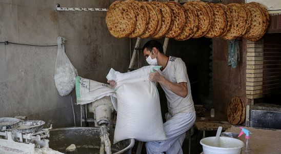 نانوایی‌ها درخواست آرد کامل را در سامانه مربوطه ثبت کنند