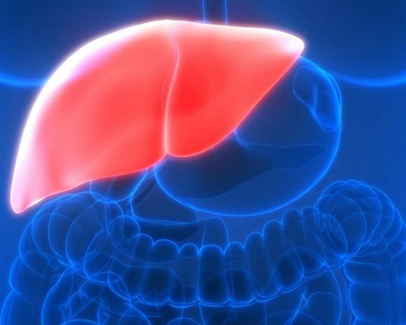 یک پیشرفت بزرگ در درمان سرطان کبد