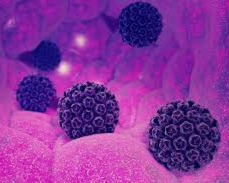 انتقال ویروس پاپیلوم انسانی (HPV) فقط از طریق رابطه جنسی